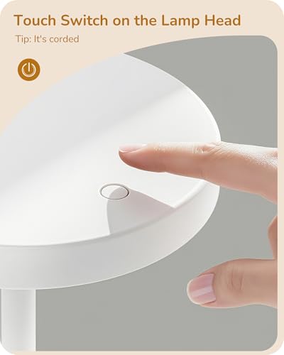 LED Desk Lamp
