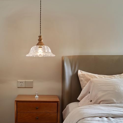 Plug in Pendant Light Fixtures Vintage Pendant Lighting with Plug in Cord Hanging Light Kitchen Glass Hanging Lamp with Switch for Island Dining Room Living Room