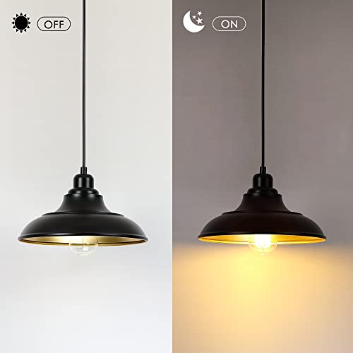 Pendant Lighting (2 Count)