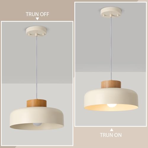 Modern Pendant Lights