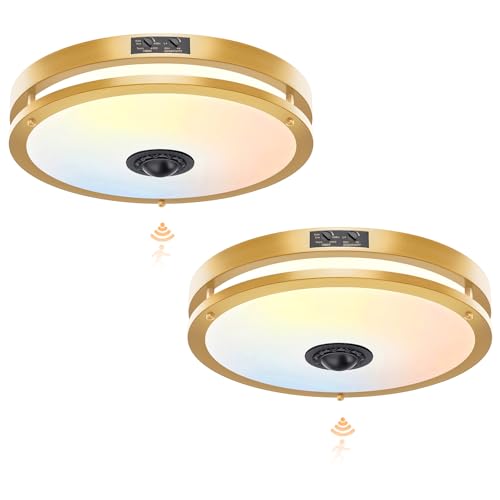 2 Pack 12" LED Motion Sensor Outdoor Ceiling Light (2 Count)