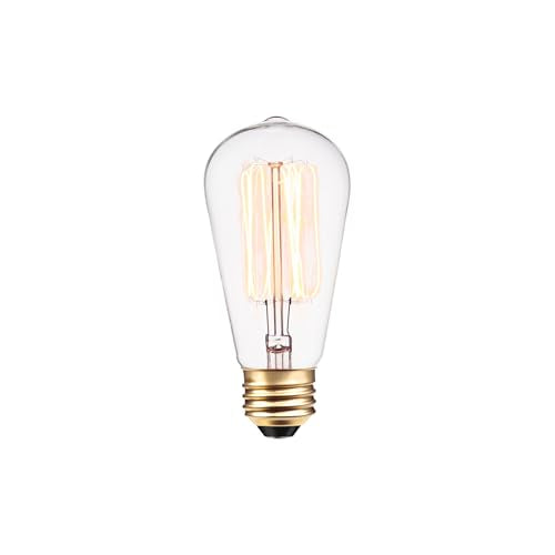 31324 40W Vintage Edison S60 Squirrel Cage Incandescent Filament Light Bulb 3 (3 Count)