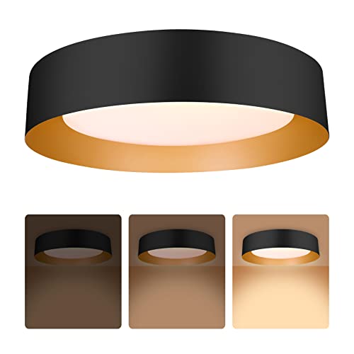 16.5 Inch Flush Mount Ceiling Light