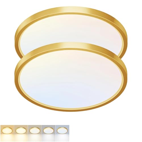 2 Pack LED Flush Mount Ceiling Light (2 Count)