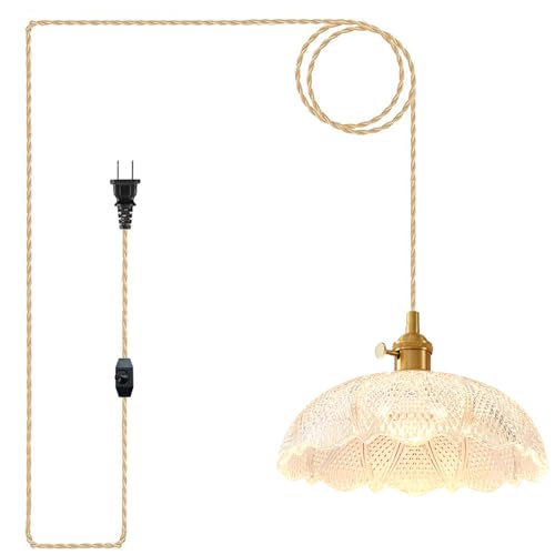 Hanging Lamp Plug in