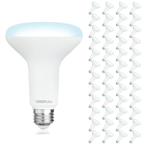 48 Pack Indoor Flood Light Bulbs (48 Count)