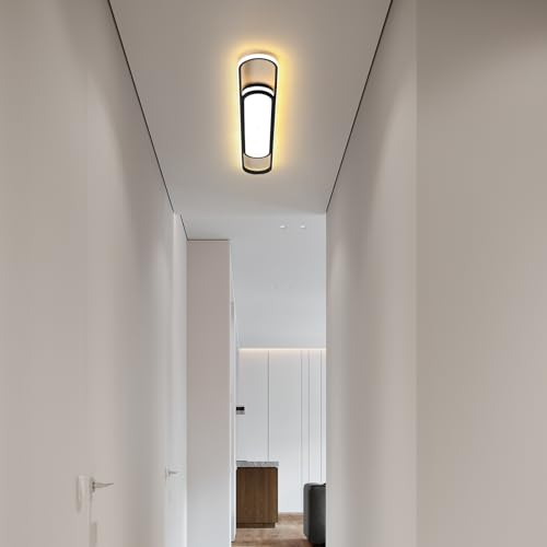 Modern LED Ceiling Light