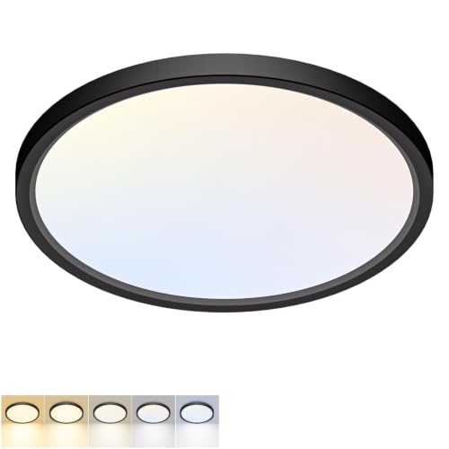 12Inch LED Flush Mount Ceiling Light 5 Color Temperatures
