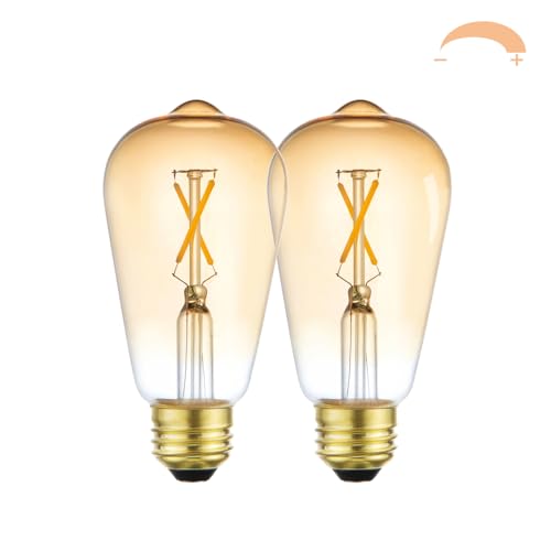 Led Dimmable Edison Light Bulbs 2W (2 Count)