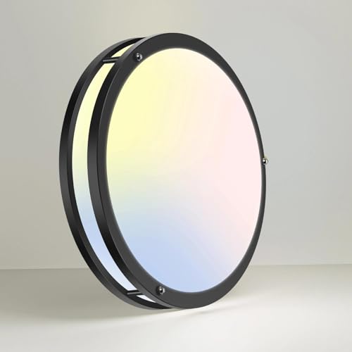 13 Inch Flush Mount Ceiling Lights