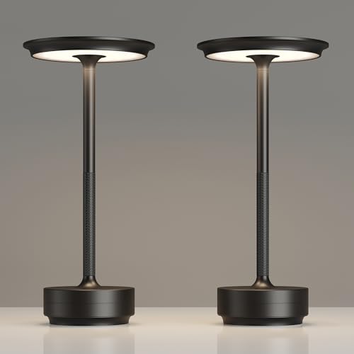 2 Pack Rechargeable Table Lamps Cordless (2 Count)