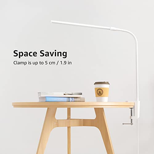 Small Desk Lamp with Clamp