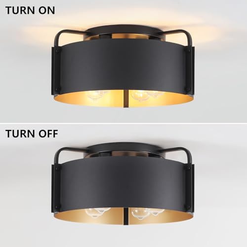 Flush Mount Ceiling Light
