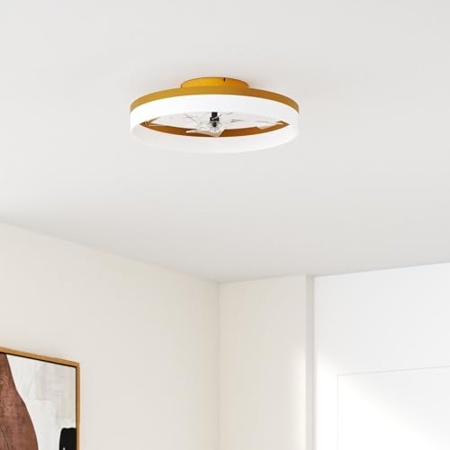 Low Profile Ceiling Fans with Lights and Remote