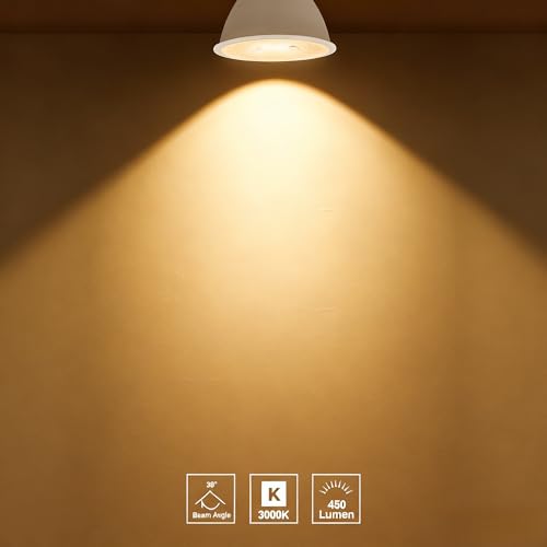 PAR16 LED Bulb Dimmable