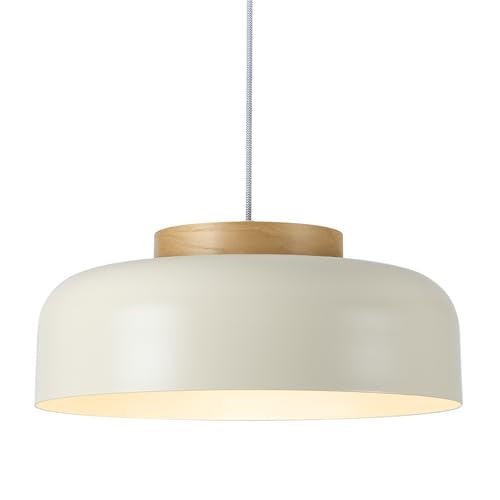 Modern Large Pendant Light