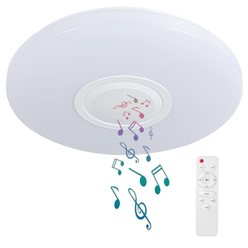 LED Ceiling Light Fixture