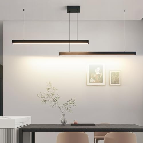 Modern 2 Light Chandelier