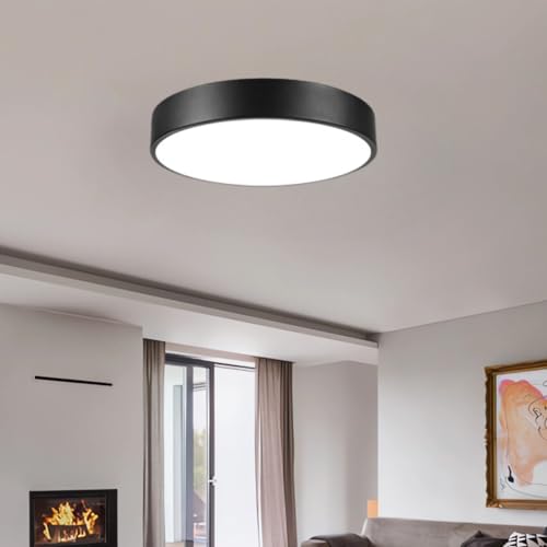 Flush Mount Ceiling Light (Black)