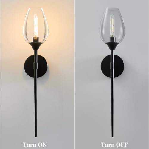 2 Pack Blcak Glass Wall Sconce Light