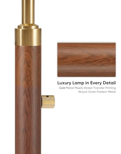 Dimmable Floor Lamp for Living Room