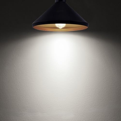 Edison Bulbs Dimmable