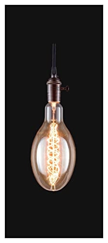 E26 Medium Base Oversized Vintage Style Light Bulb