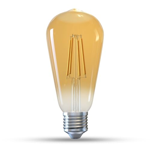Edison Bulbs E26 LED Bulb 60 Watt Equivalent