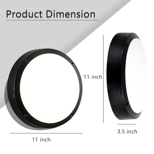 Flush Mount Ceiling Light