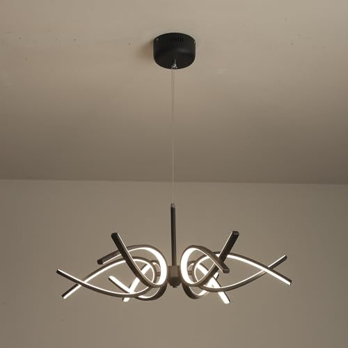 Modern LED Ceiling Light Fixture
