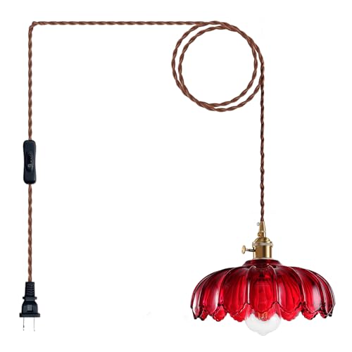 Plug in Pendant Light