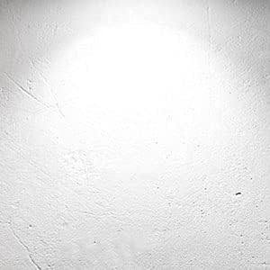 Dimmable LED Light Bulbs