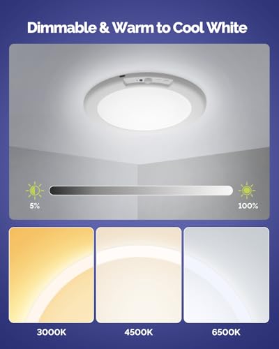 LED Shower Light Battery Operated Ceiling Light with Remote 4 Pack (4 Count)