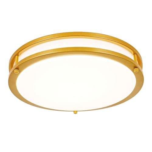 DLLT Flush Mount LED Ceiling Light
