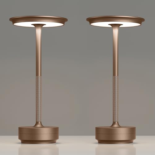 2 Pack Rechargeable Table Lamps Cordless (2 Count)