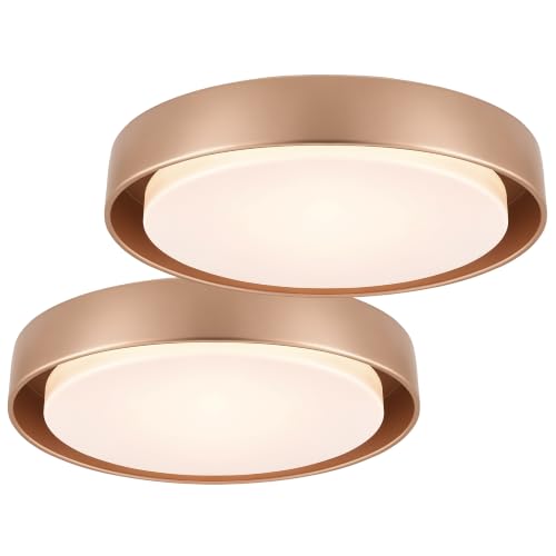2 Pack Flush Mount Ceiling Light (Gold)