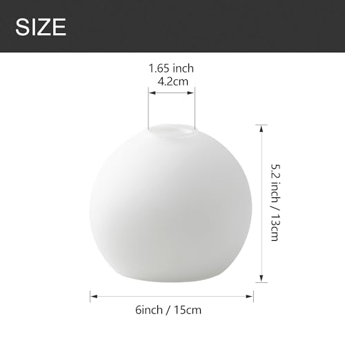 3 Pack Fixture Replacement Globe Shade (3 Count)