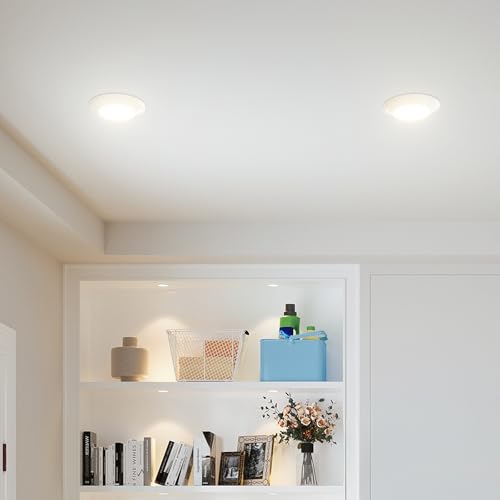 24 Pack 5 6 Inch LED Disk Lights (24 Count)