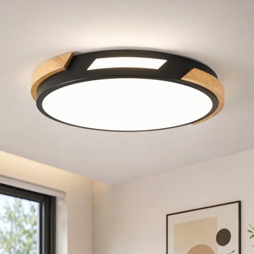 Modern LED Ceiling Light