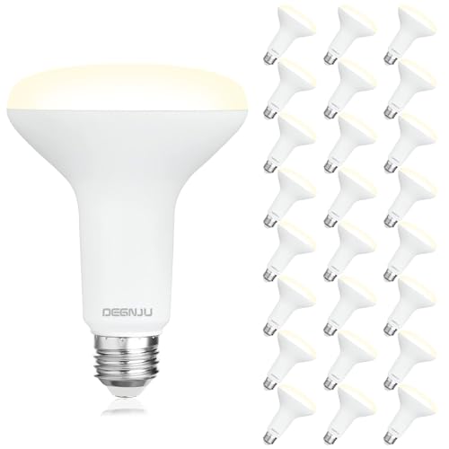 24 Pack Indoor Flood Light Bulbs (24 Count)