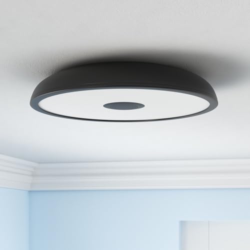 Black Smart Waterproof LED Flush Mount Ceiling Light Fixture