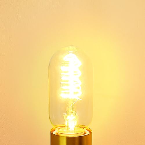 LED Edison Bulb Dimmable