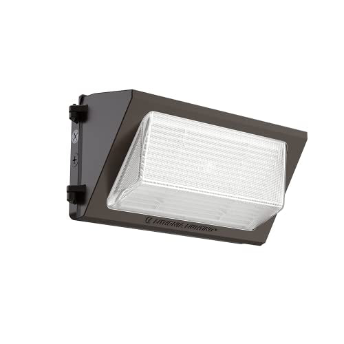 17" LED Wall Pack Outdoor Light