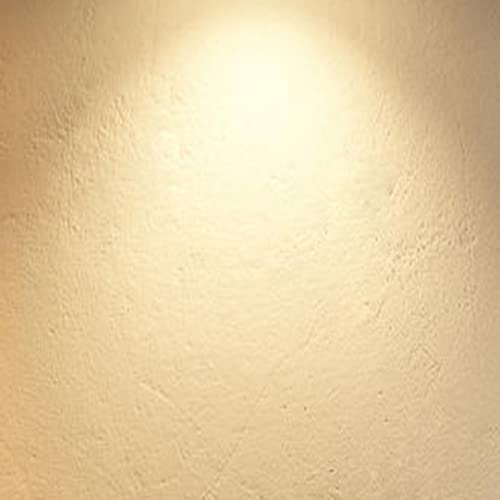 LED Light Bulbs 100 watt