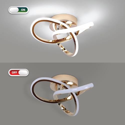 Modern LED Ceiling Light