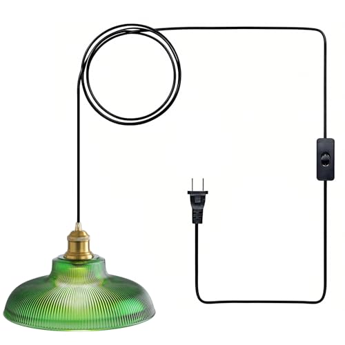 Plug in Pendant Light