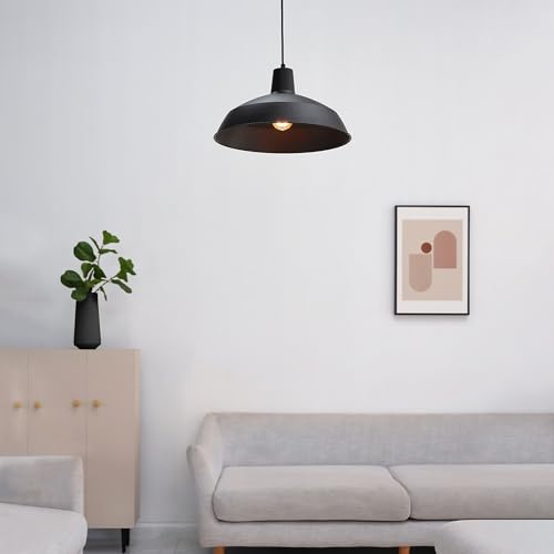 65155 1 Light Industrial Warehouse Pendant Lighting