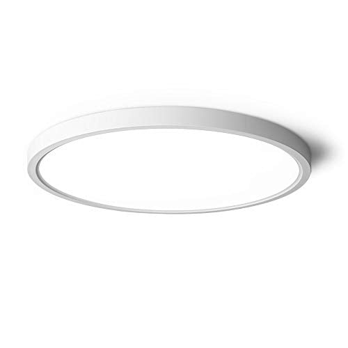 LED Ceiling Light