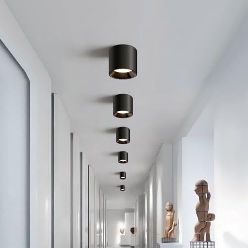 Modern LED Flush Mount Ceiling Light Fixtures for Hallway Kitchen Entryway