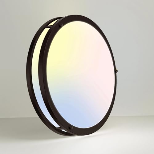 13 Inch Flush Mount Ceiling Lights